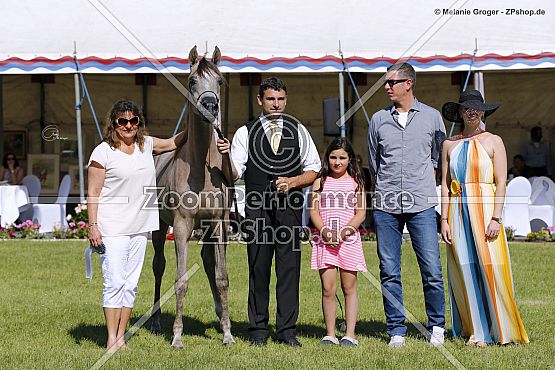 DA Alihandra (EKS Alihandro x DA Miss Justice - WH Justice)