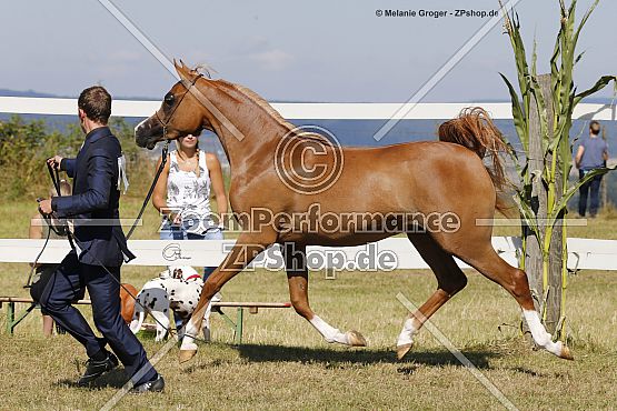 Johara Magdalena (GR Marvel x Younique F - SA Movin Star)