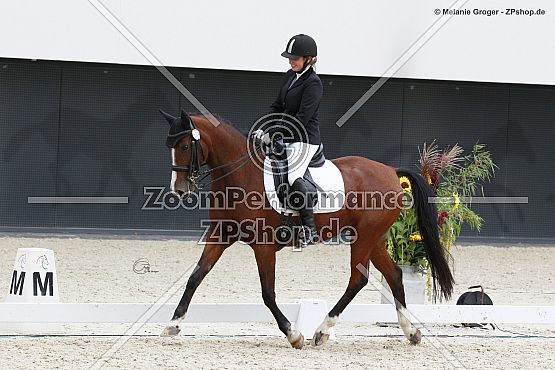 Go to Dance (Geronimo B x Comtesse B - Conquistador)