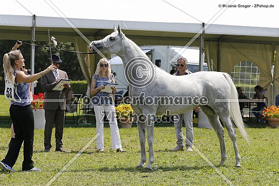 Al Guwa Mediva (WH Justice x Al Guwa Mukowa - Kubinec)