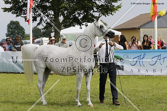 Ekspulsja (Gazal Al Shaqab x Elandra - Monogramm)